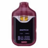 BOUTIQ SWITCH V4