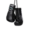 Boutiq Boxing Gloves