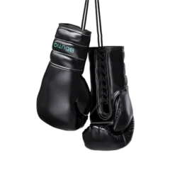 Boutiq Boxing Gloves