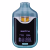 BOUTIQ SWITCH V4