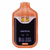BOUTIQ SWITCH V4