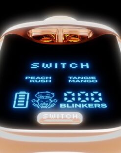 BOUTIQ SWITCH