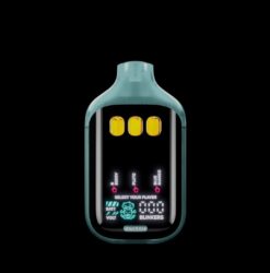 BOUTIQ SWITCH V5 B BERRY (HYBRID) x PLUTO (INDICA) x BLUE MANGO (HYBRID)